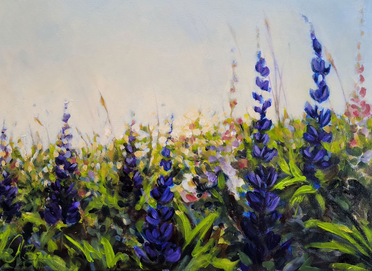 Nova Scotia wildflowers and lupins painting by Alicia Braganza