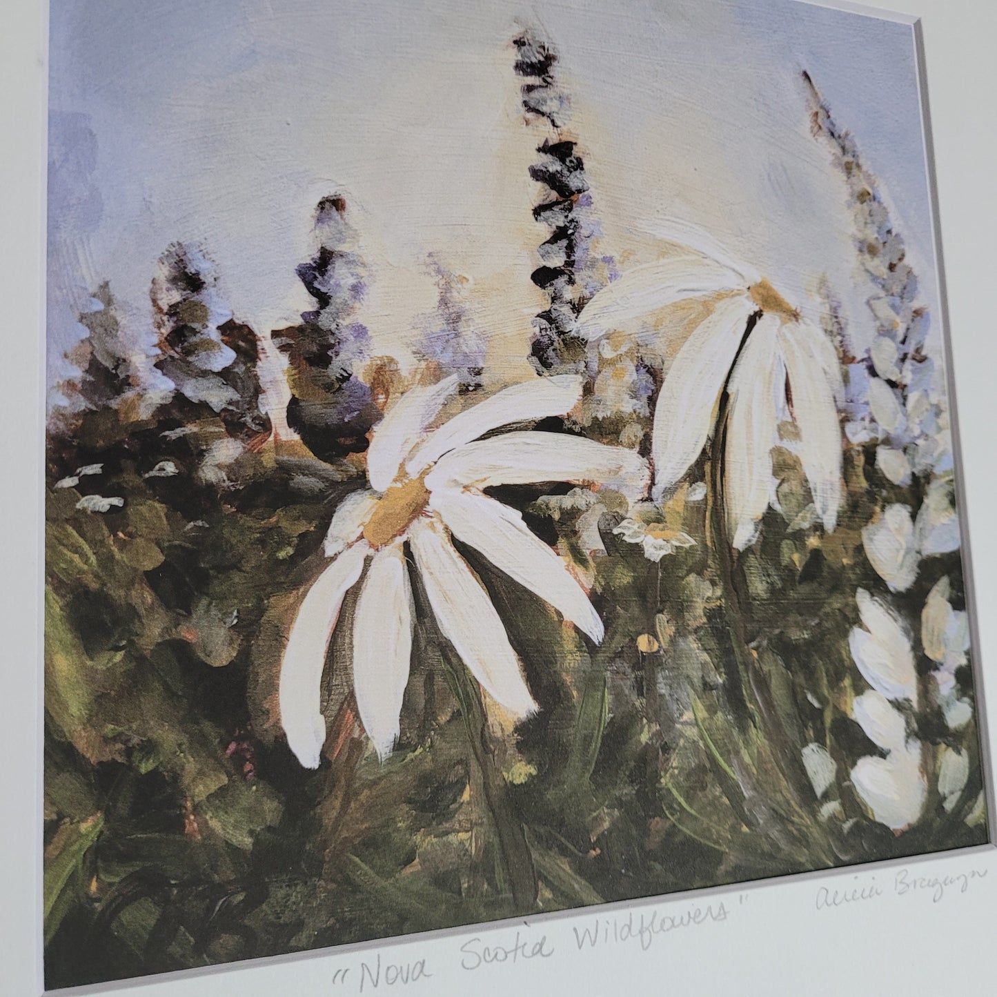 Nova Scotia Wildflowers, Print